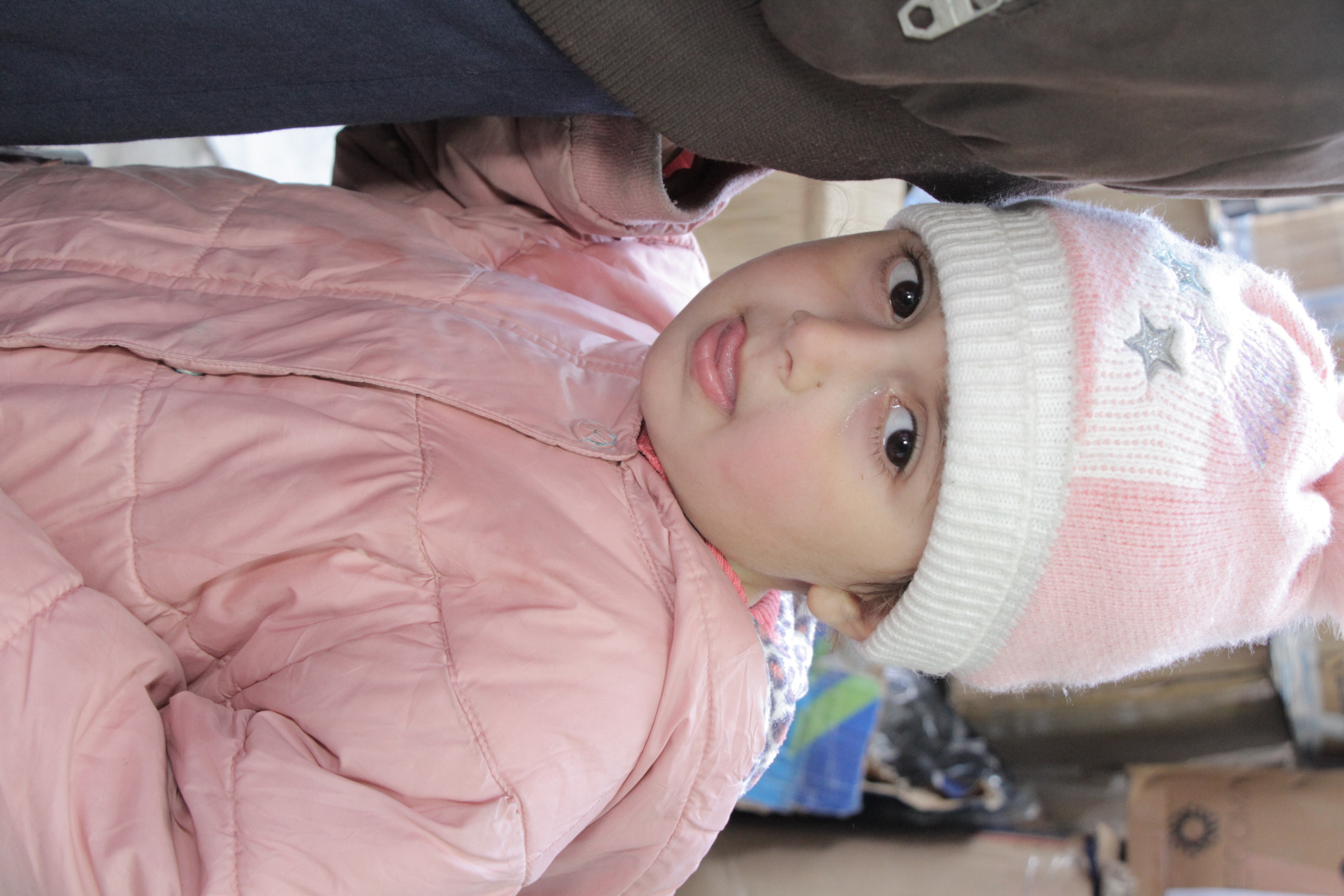 مشروع شتاء دافئ